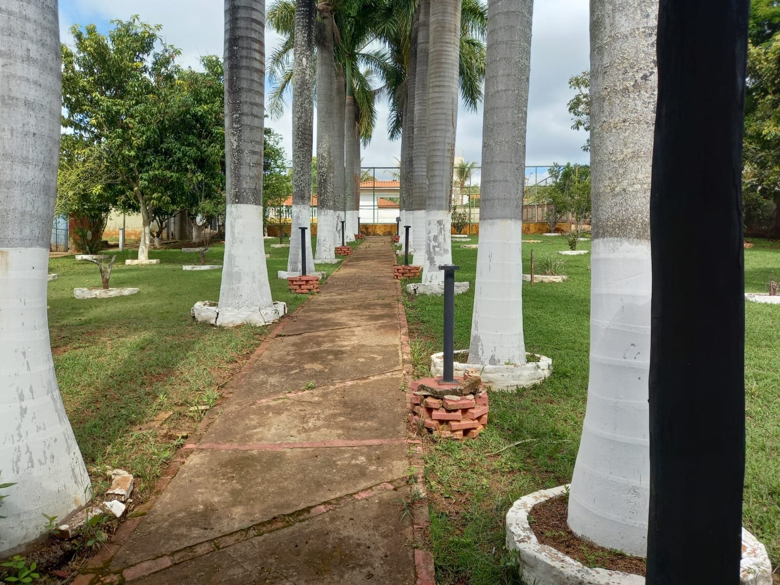 Alameda