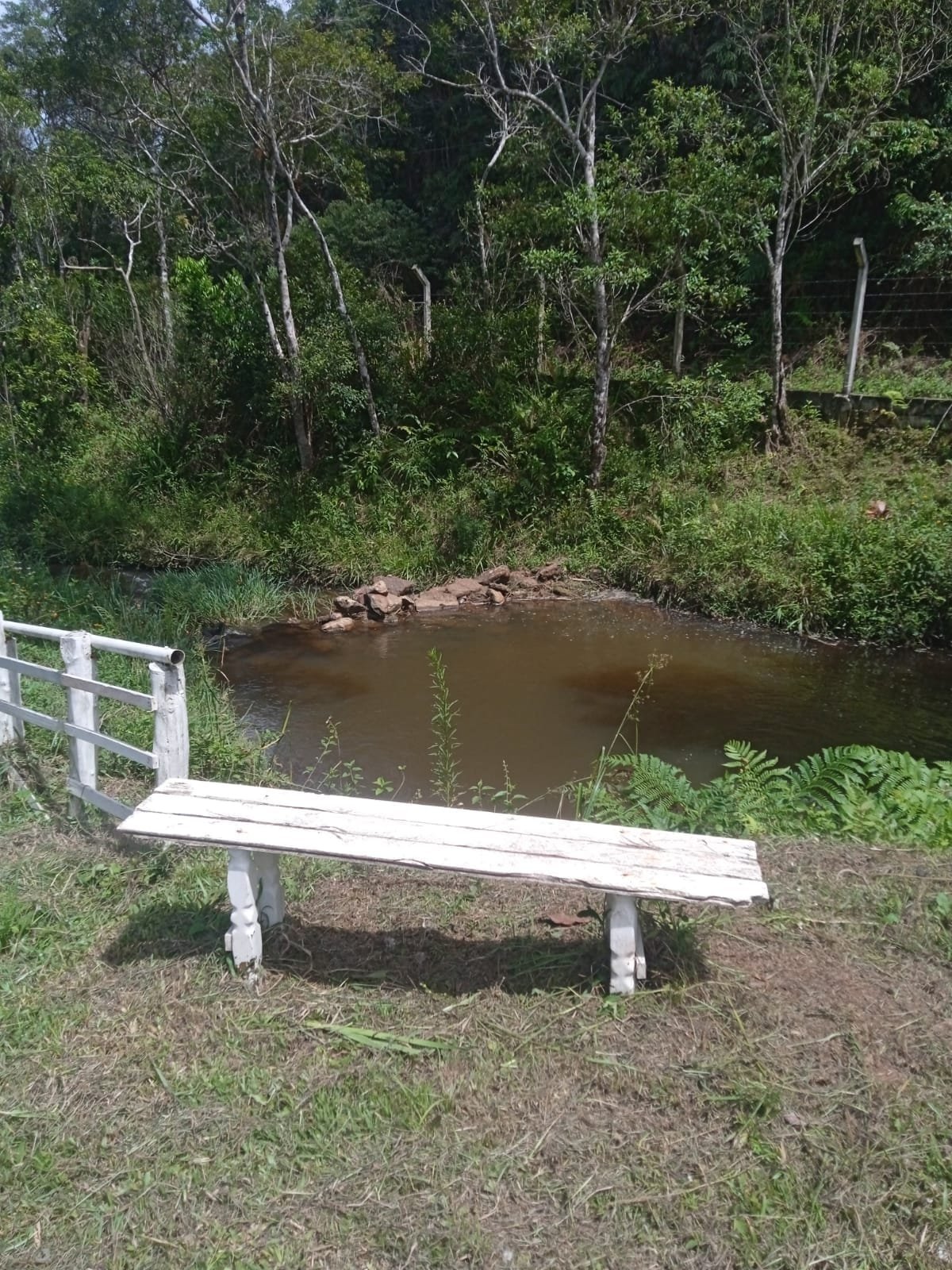 Contemplação