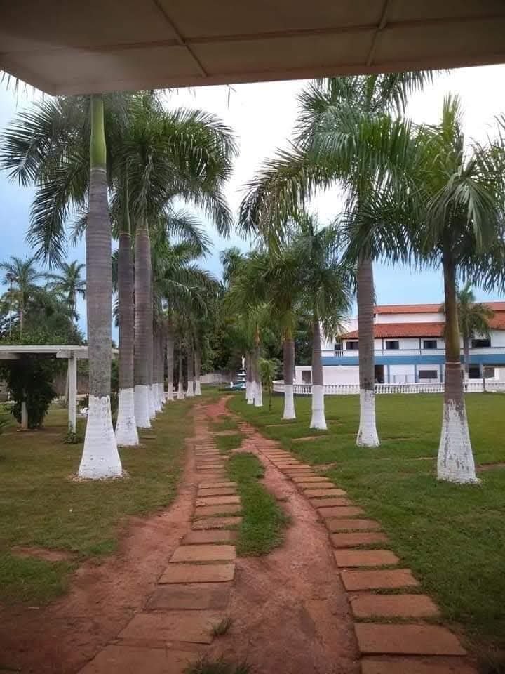 Caminho Palmeiras