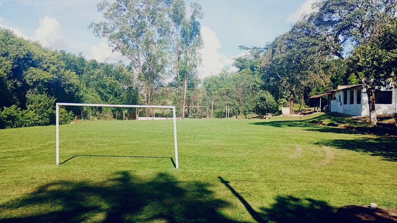 Campo