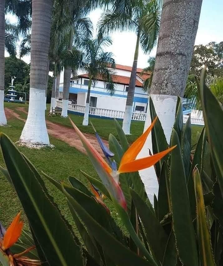 Jardim
