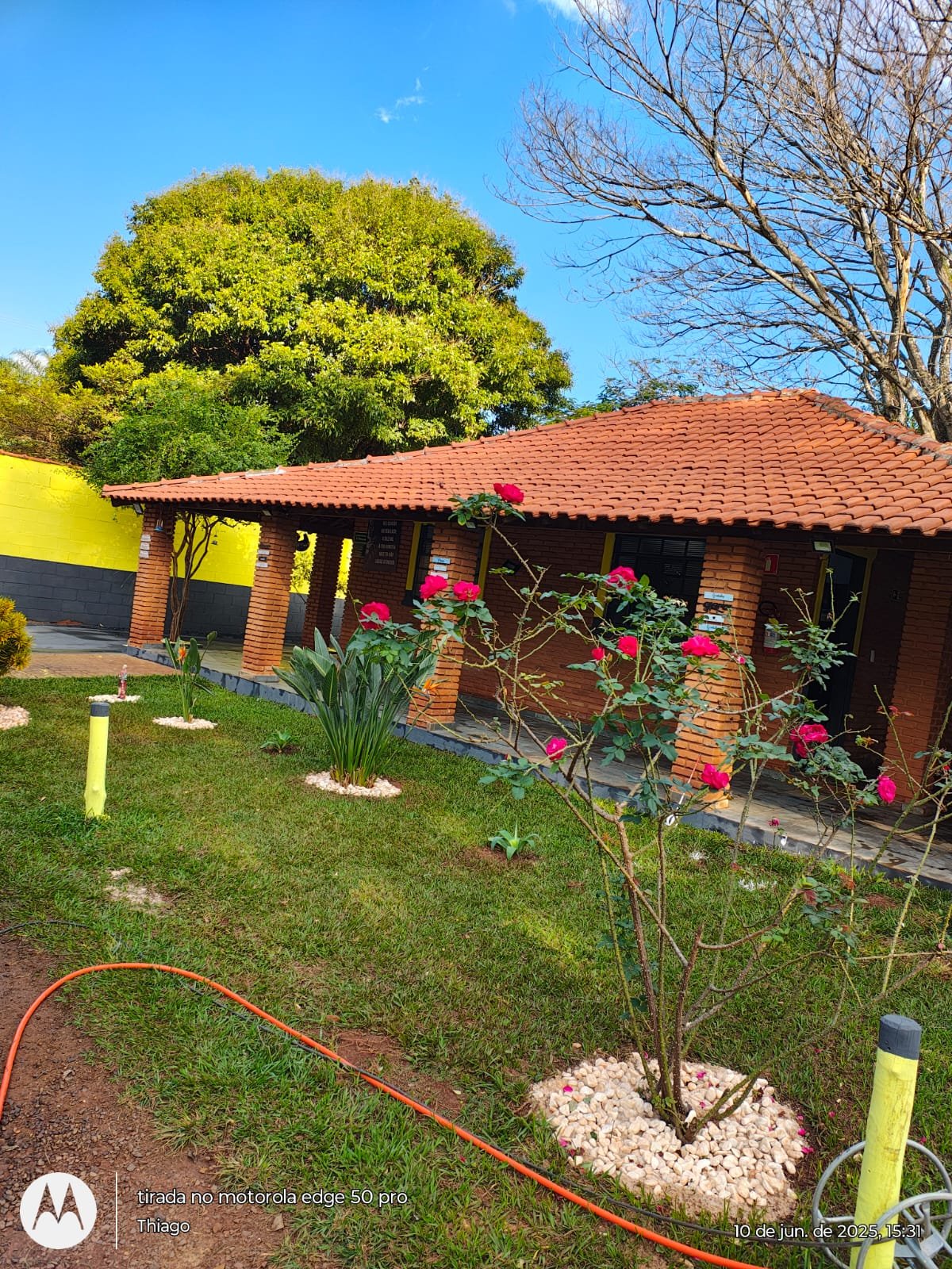 Jardins floridos